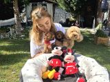 Poodle Torunlarımız