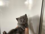 ÇOCUKLARIMIZA GÜZEL YUVA ARIYORUZ
