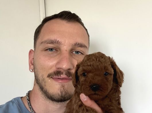 İnstagram Toypoodlepuppy09 görsel