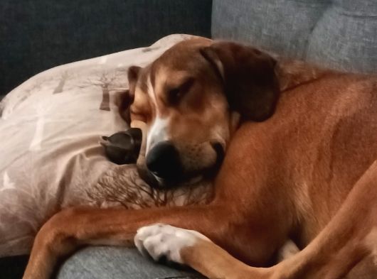 Mix görsel
