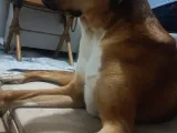 Mix