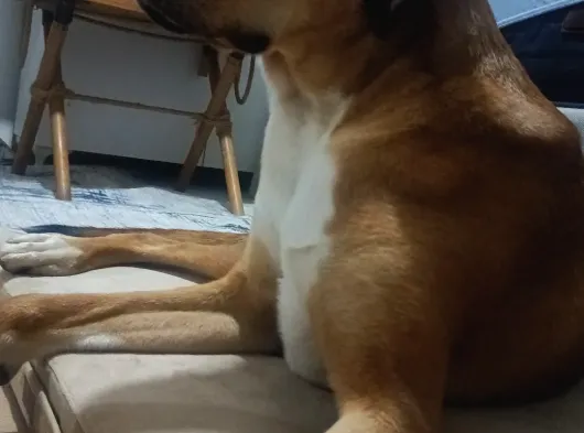 Mix görsel