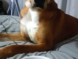 Mix