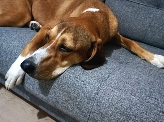 Mix