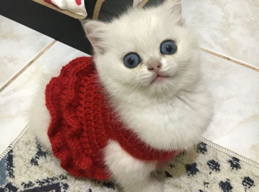 Marshmellow Bebekler görsel
