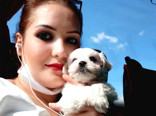 Maltese Bebi̇şleri̇mi̇z görsel