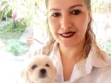 Maltese Yavrularimiz