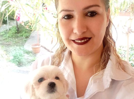 Maltese Yavrularimiz görsel