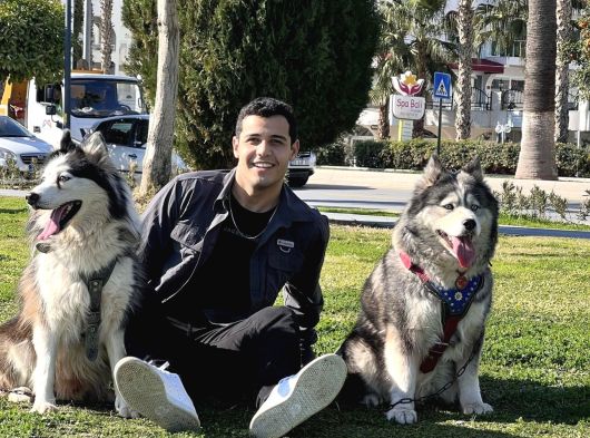 Aşili Karneli̇ Çok Akili Hayvanlar 2 Adet Erkek Ve Dişi