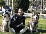 Erkek Ve Di̇şi̇ Olmak Üzere 2 Adet Husky