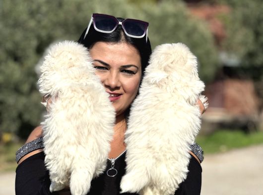 Beyaz Peki̇nez Yavrularimiz görsel