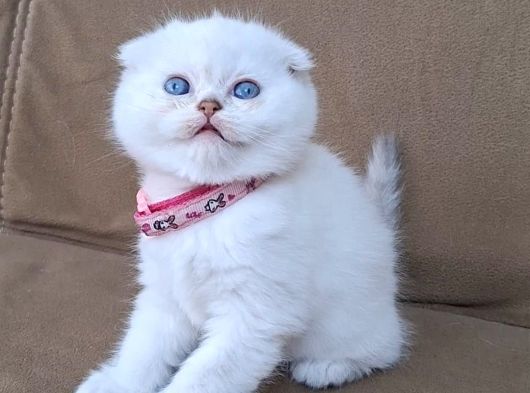 Kalite Tesadüf Değil Tercihtir görsel