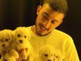 A kalite maltese yavrular teslime hazır