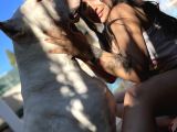 Dogo Argenti̇no Türki̇ye