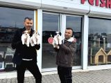 Gerçek Morki̇e Yavrularimizi Mağazamizda Canli Görün Ankara