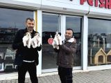 Gerçek Morki̇e Yavrularimizi Mağazamizda Canli Görün Ankara