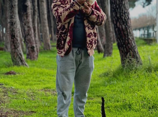 Chow Chow Yavrularımız görsel