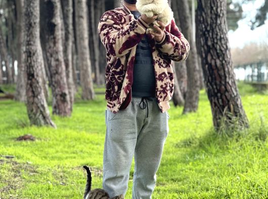 Chow Chow Yavrularımız görsel