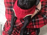 Pug Mops Yavru