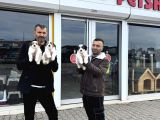 WC EGİTİMLİ MORKİEE YAVRULAR ANKARA MAĞAZAMIZDA GÖRÜN
