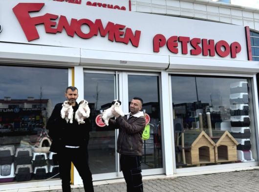 Wc Egi̇ti̇mli̇ Morki̇ee Yavrular Ankara Mağazamizda Görün görsel