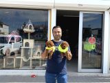 Renk Renk Orji̇nal Toy Poodle Yavrularimiz Güncel Ankara