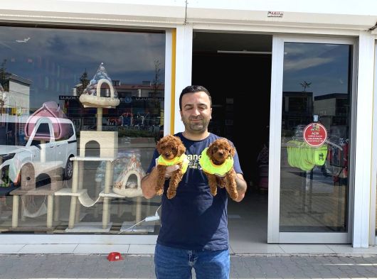 Renk Renk Orji̇nal Toy Poodle Yavrularimiz Güncel Ankara görsel