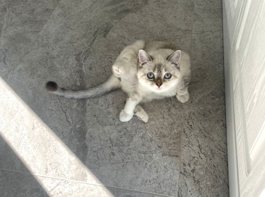 Minik Kızıma Ömürlük Yuva görsel