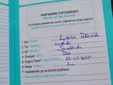 Ücretsiz Lorin Kızıma Ömürlük Yuva