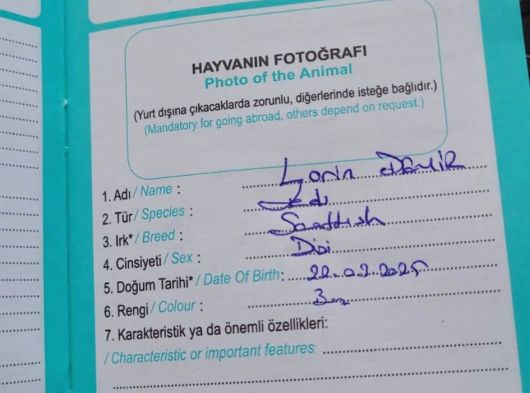 Ücretsiz Lorin Kızıma Ömürlük Yuva görsel