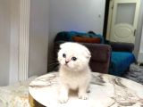 GÜZELLER GÜZELİ  BEBEĞİM TESLİME HAZIR