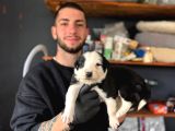 En Akıllı Arkadas Border Collie Yavrularımız