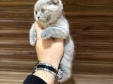 A kalite wc eğitimli