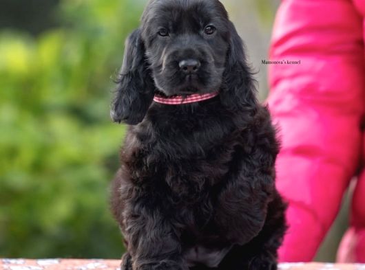 Dünya Güzelleri̇ görsel