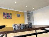 Top Kafa Scottish Fold Yavrulari Fenomen Pet Shop Ankara