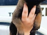 Narkotikten Gelme Anne Babanın Yavruları