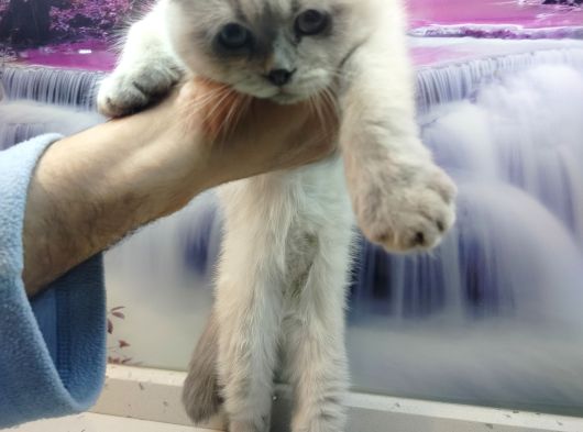 Yeni̇ Yilina Yeni̇ Ai̇leri̇nle Gi̇rmeye Hazir Bekli̇yorlar görsel