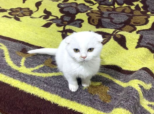 Yeni̇ Yilina Yeni̇ Ai̇leri̇nle Gi̇rmeye Hazir Bekli̇yorlar görsel
