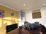Kedi̇ci̇den Renk Renk Scottish Yavrular Ankara Mağazamzda Gör