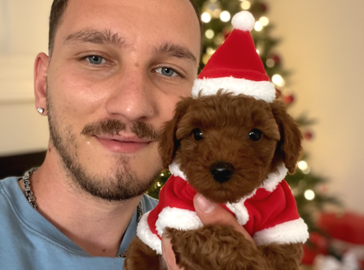 İnstagram Aydinkopekciftligi görsel