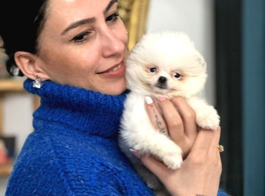 Pomerian Boo Yavrularım Sağlık Ve Irk Garantilid görsel