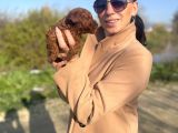 Toy Poddle Yavrularım Sağlık Ve Irk Garantilidir