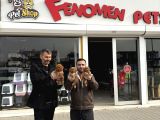 Exlusi̇ve Kore Poodle Yavrular Toy Poodle Yavrular Hazir Ank