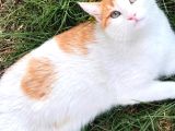 Bilinmezliğe Atılan 15 Yıllık Bir Mucizenin Hikayesi