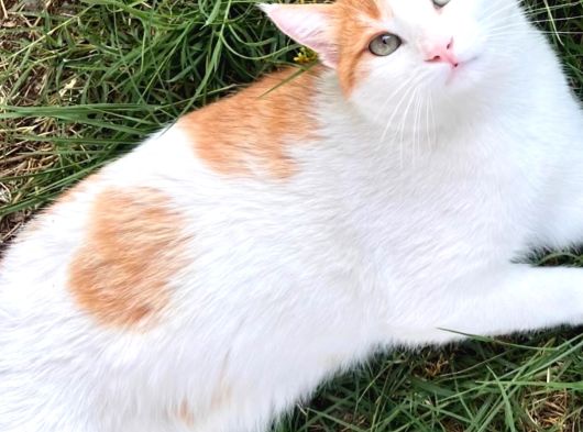 Bilinmezliğe Atılan 15 Yıllık Bir Mucizenin Hikayesi görsel
