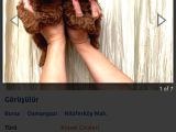 Toy Poodle Yavru Mama Ve Malzeme Kampanyalı