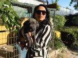 Cane corso Yavrularım sağlık ve ırk garantilidir