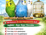 İstanbul Eve Teslim Konuşma Eğitimi Mkuşu