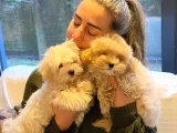 EN SEVİMLİ MALTİPOO YAVRULARI SİZLERİ BEKLİYOR