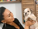 Irk Garanti̇li̇ İngi̇li̇z Bulldog Yavrulari